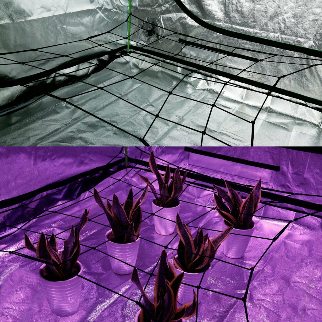 Trellis Netting