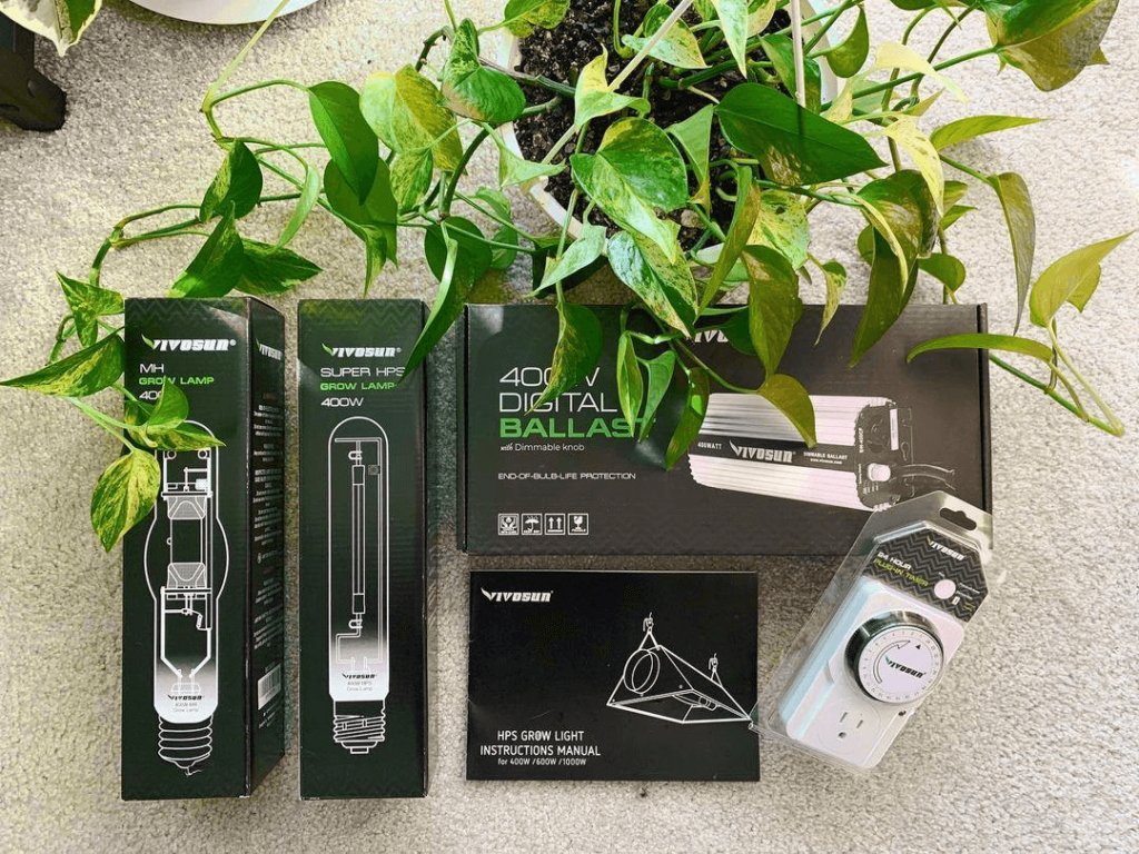 What Type of Grow Light is Best for Indoor Plants