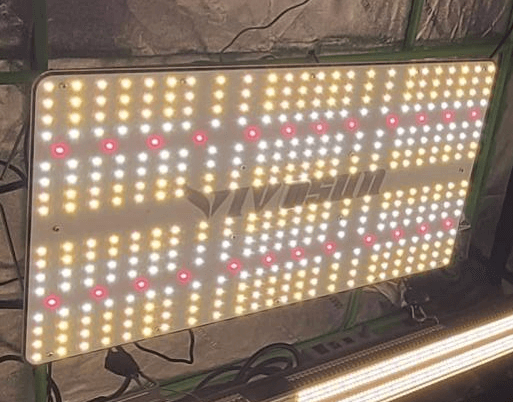 How Long should Grow Lights be on for Houseplants