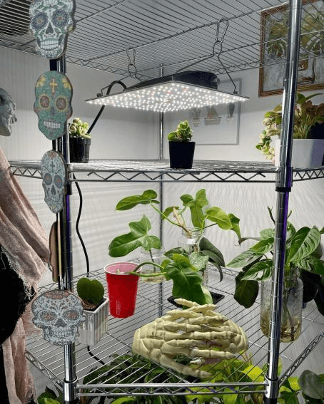 Full Spectrum of LED Grow Light