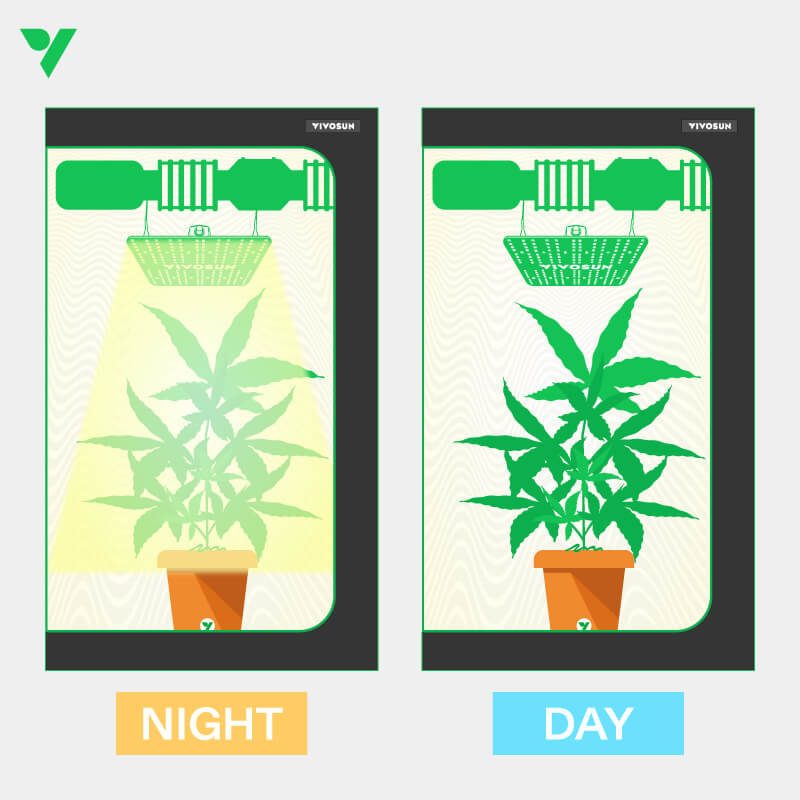 the Change of Lighting Period to Control the Temperature