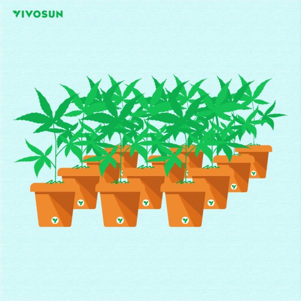 Sea of Green Method