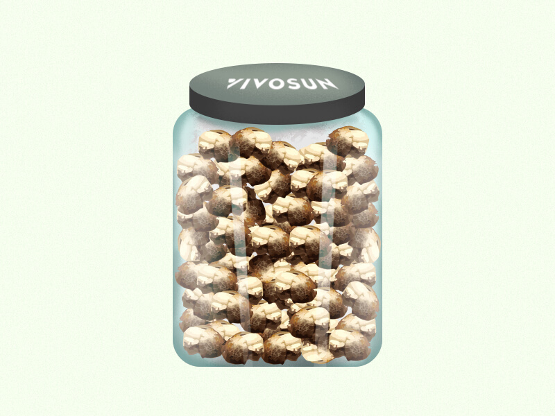 VIVOSUN Mason Jars - store cannabis seeds