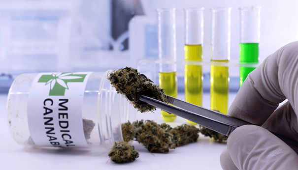 Newest Medical Cannabis Research