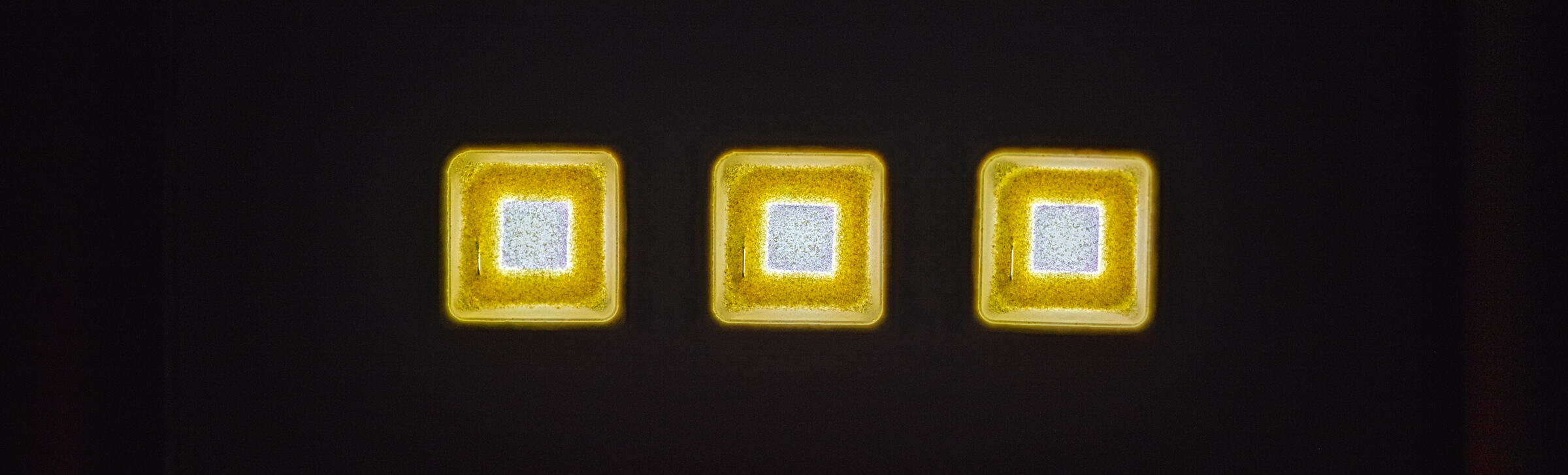 White/Yellow