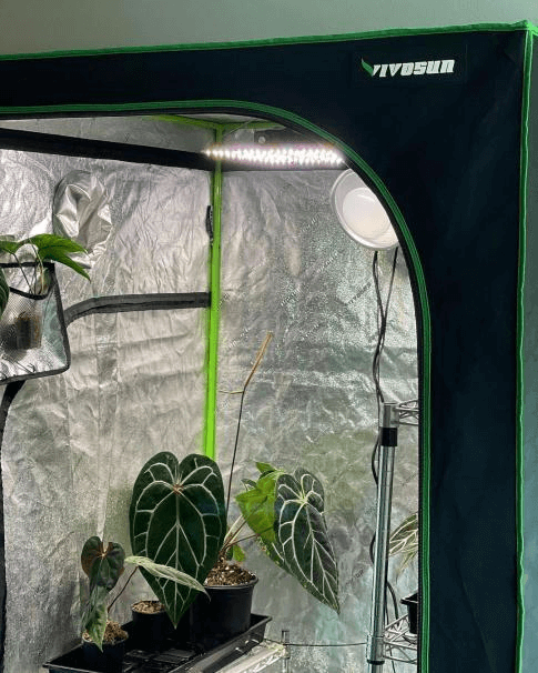 Hang Grow Lights for Indoor Plants