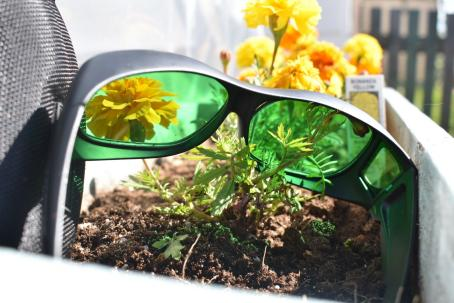 grow room glasses is necessary