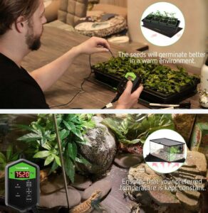 improve cannabis germination rates