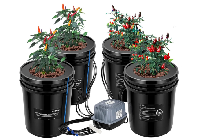 5 Gallon DWC Hydroponic System Kit