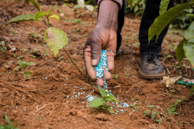 Improving Plant Health