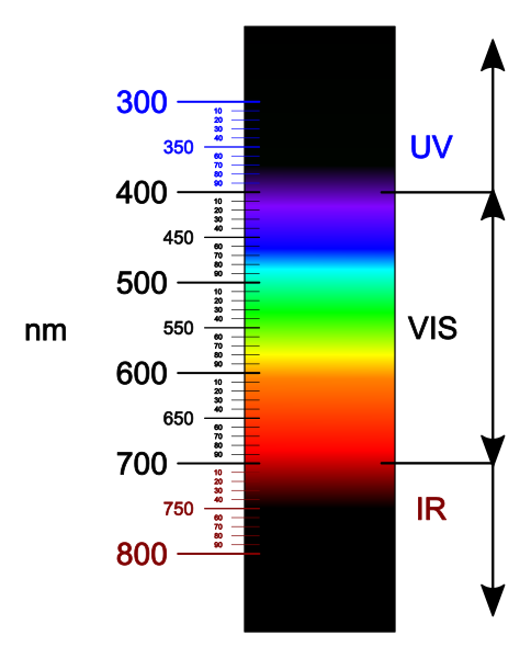 Do Plants Need UV Light? | Vivosun Blog