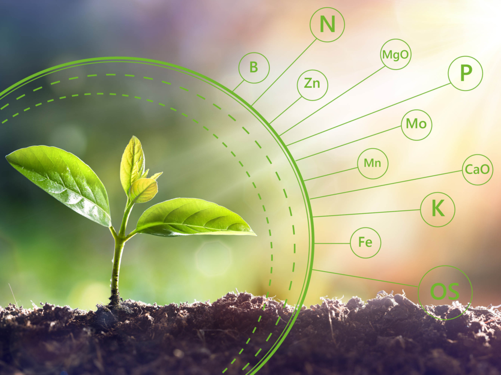 the common trace elements that the plants demand
