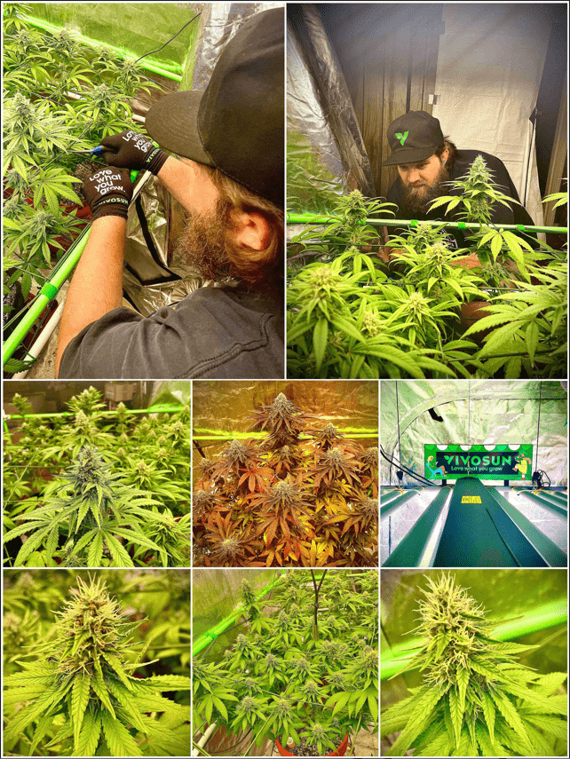 VIVOSUN Grower Spotlight