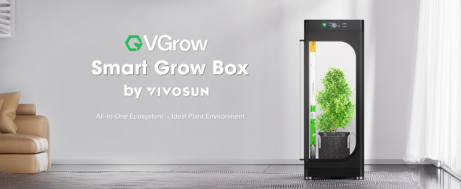 VGrow Banner