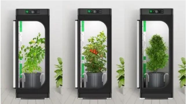 VGrow