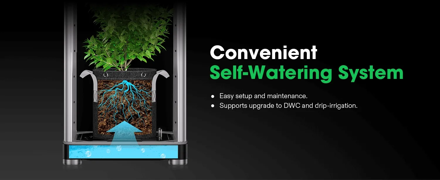 self watering planters