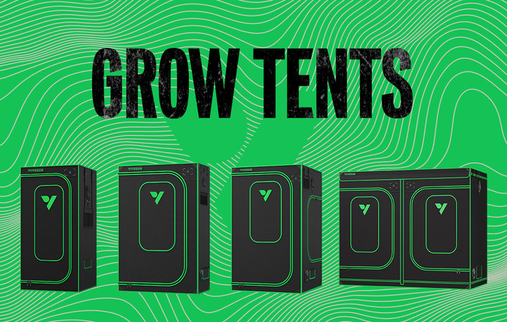 Automated watering system for grow tent