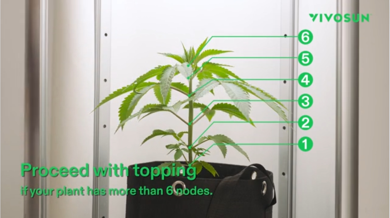 Topping Instructions