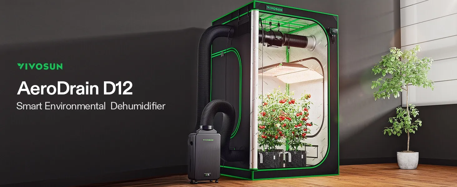 plant dehumidifier