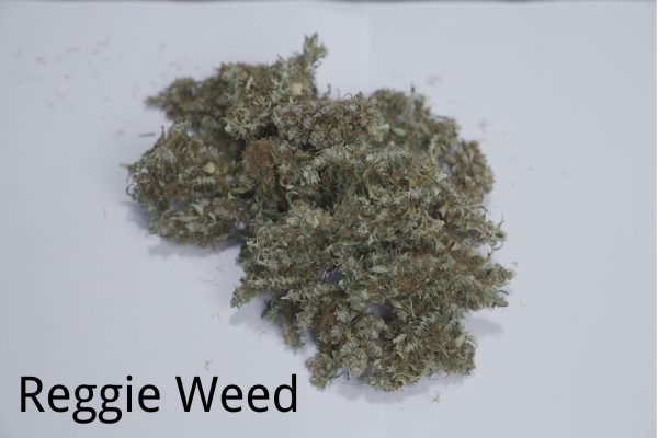 reggie weed