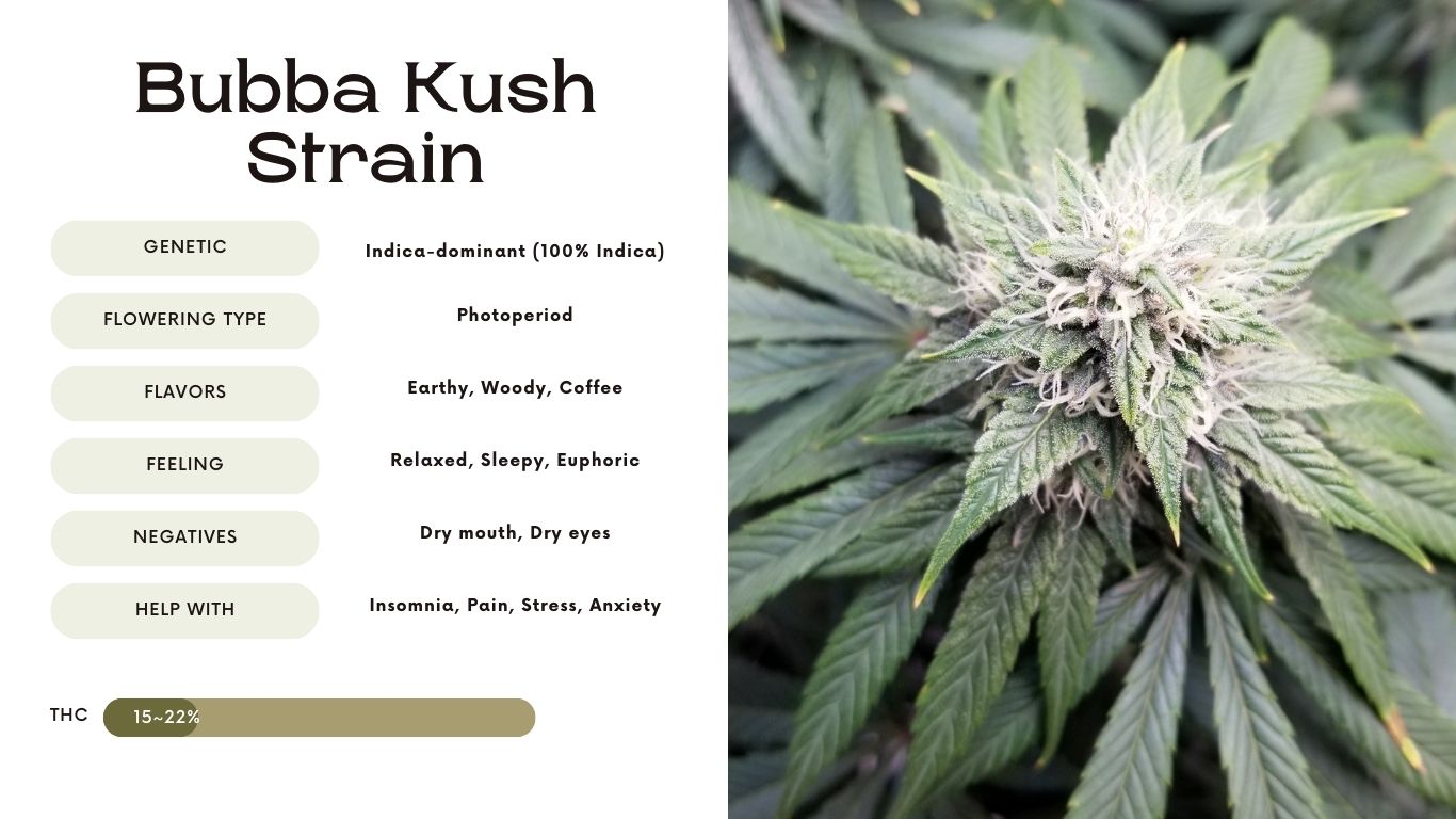 Bubba Kush Strain