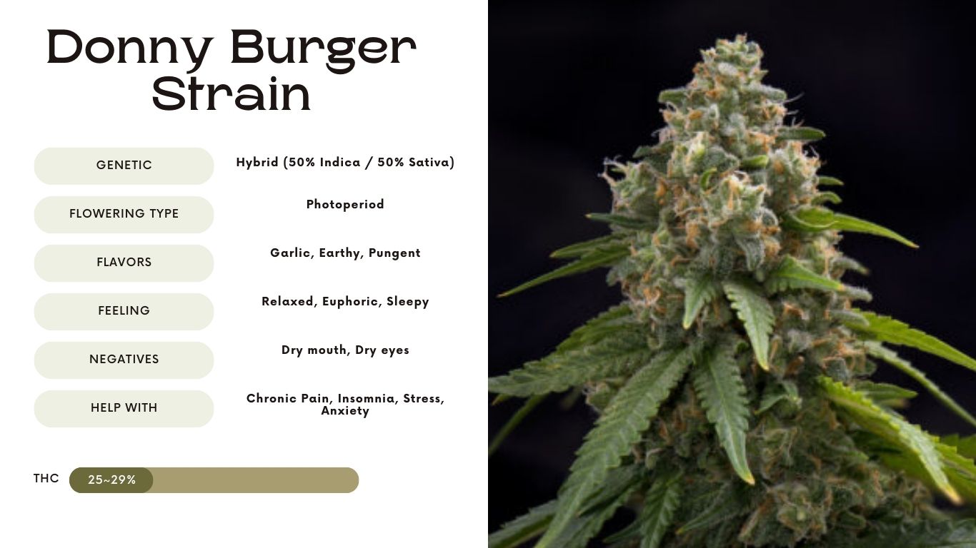 donny burger strain