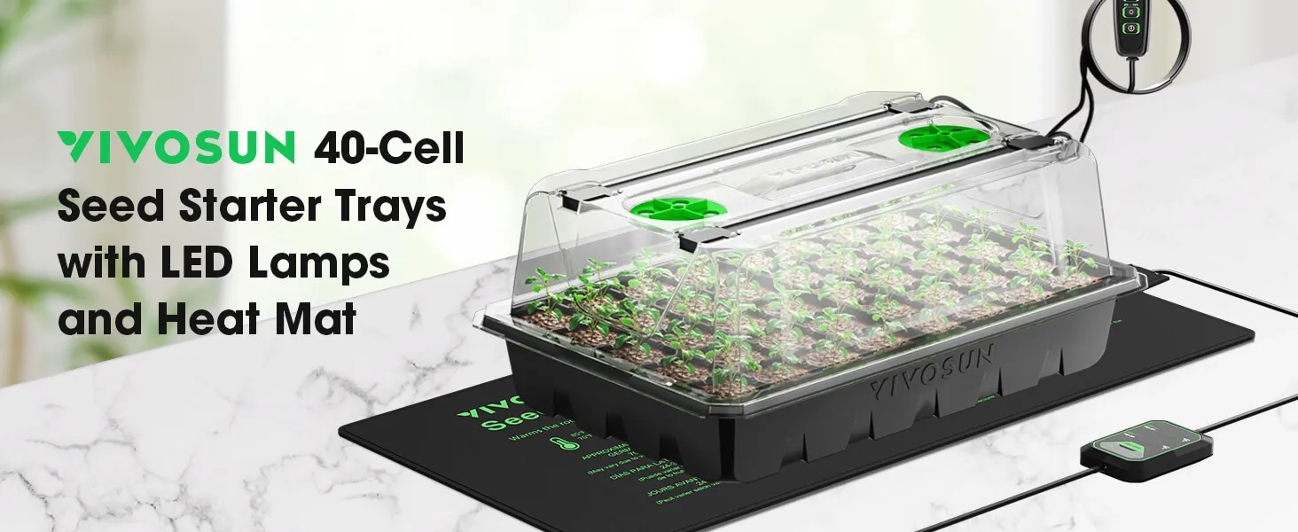 germination box