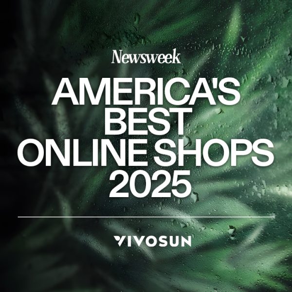 best online shop

