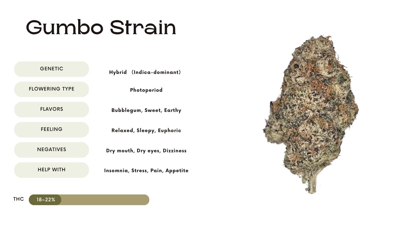 Gumbo Strain
