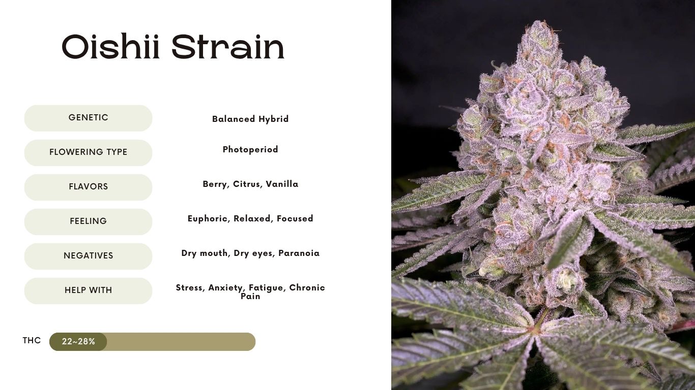 Oishii Strain