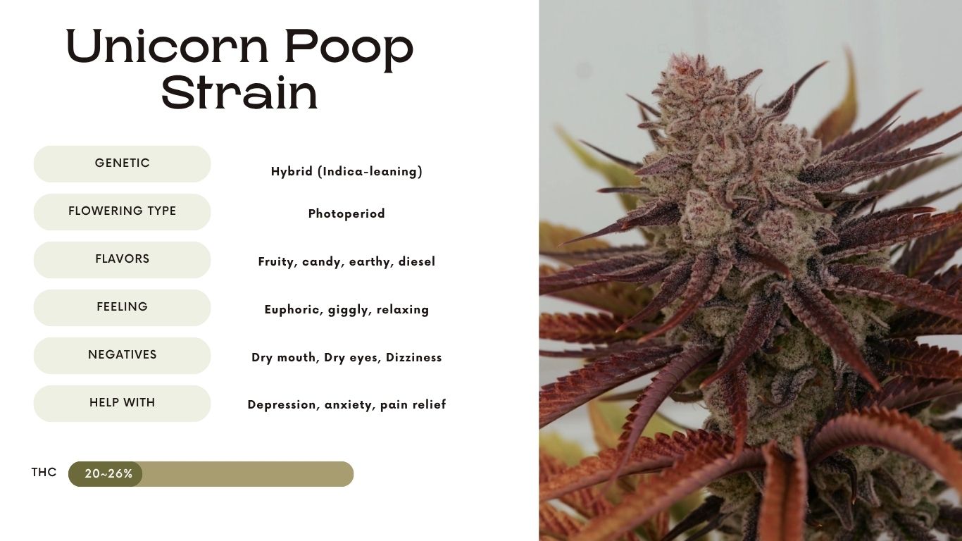 Unicorn Poop Strain