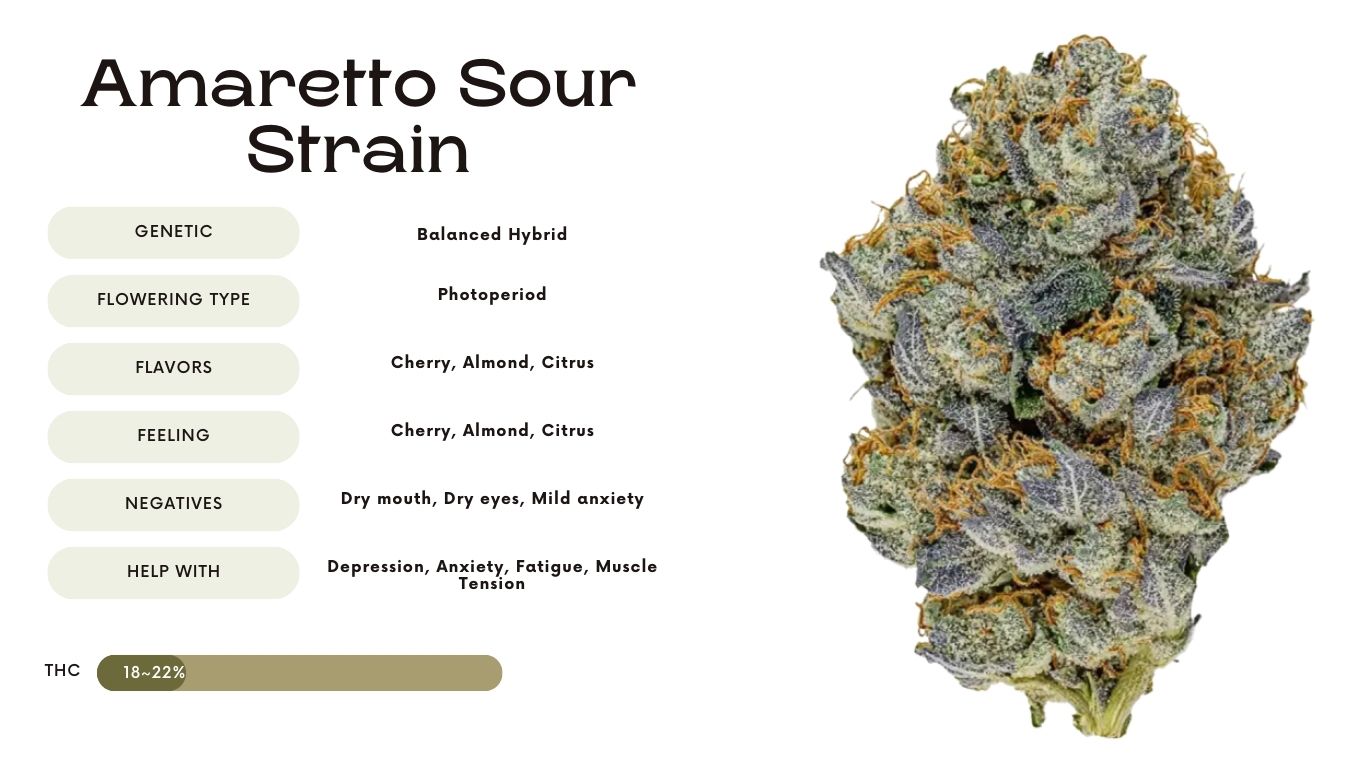 Amaretto Sour Strain