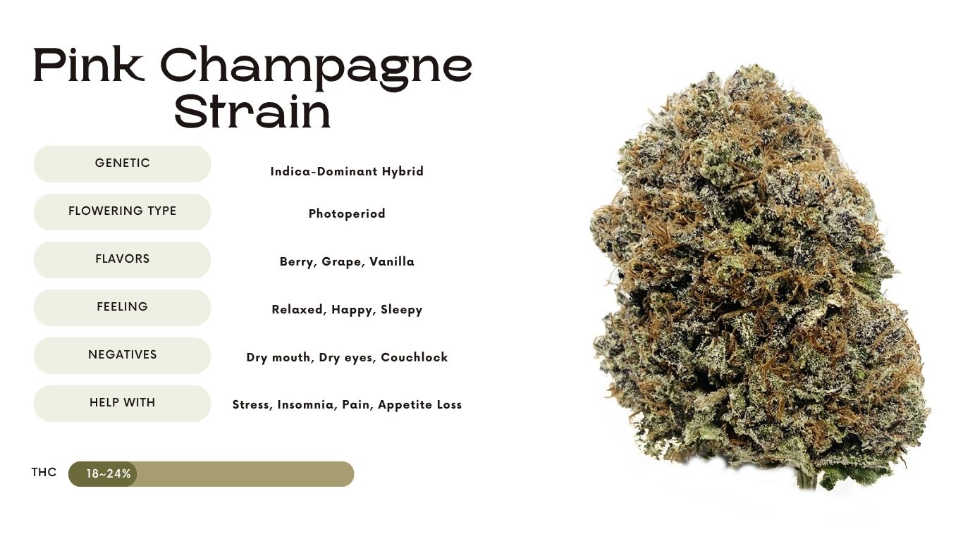 Pink Champagne Strain