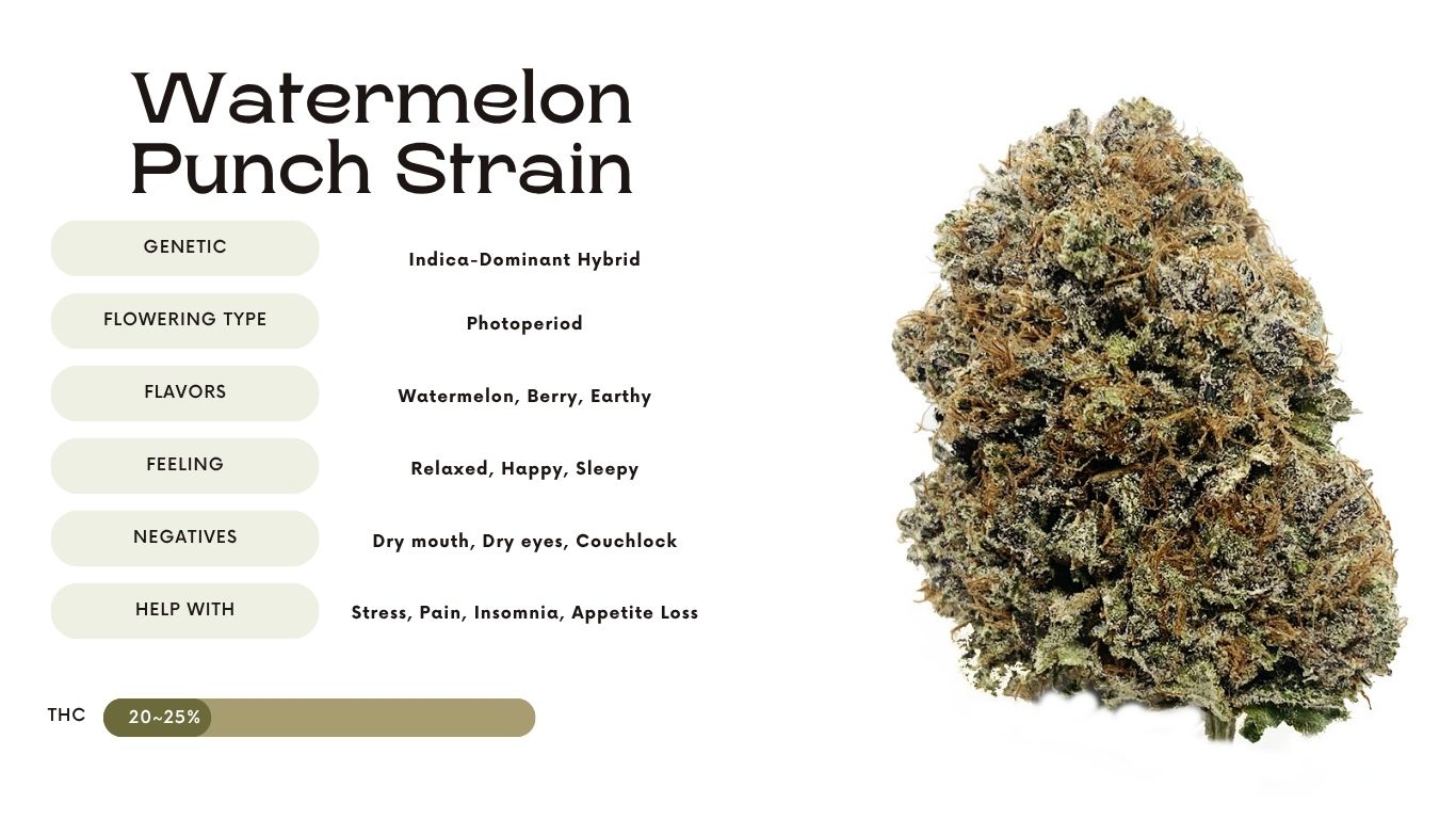 Watermelon Punch Strain