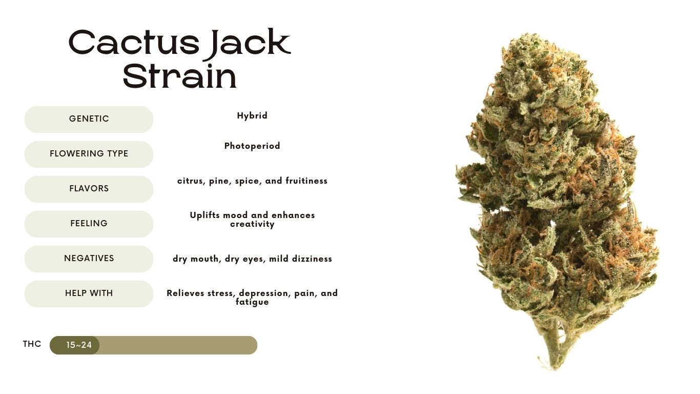 cactus jack vape flavor Cactus Jack Raz Vape Flavor Cactus Jack Raz TN9000 Vape What Does Cactus  Jack RAZ Vape TN9000 | 9000 Puffs main image 0