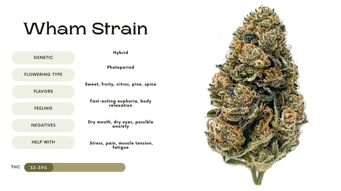 Wham Strain