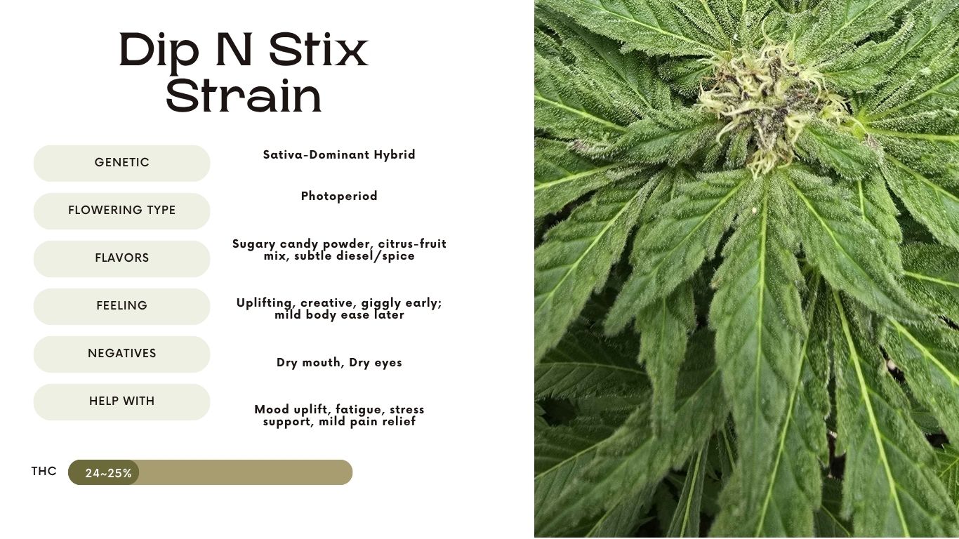 Dip N Stix Strain