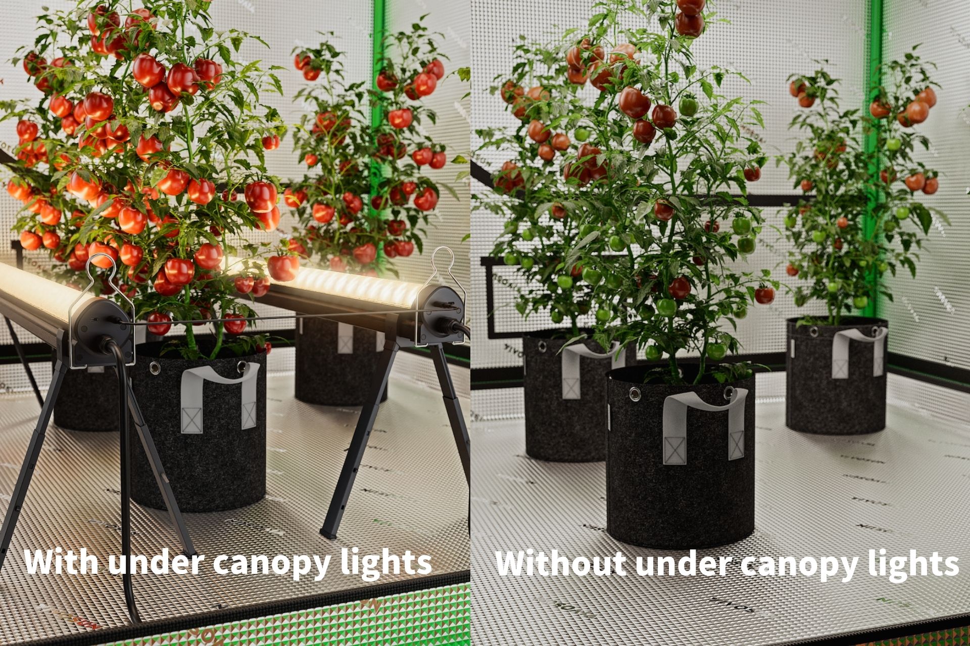 under canopy light comparison